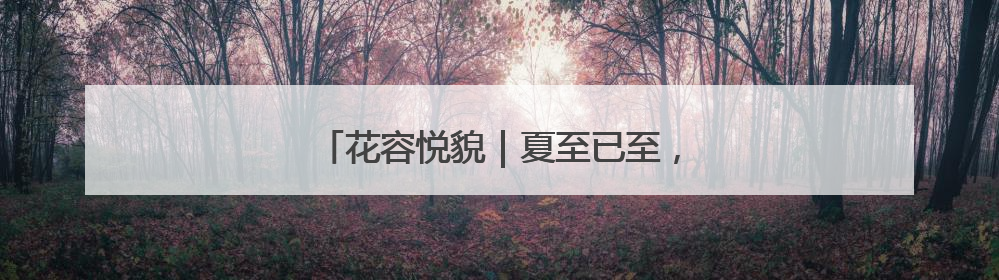 花容悦貌｜夏至已至，南京“荷”处有美韵