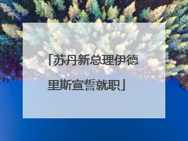 苏丹新总理伊德里斯宣誓就职