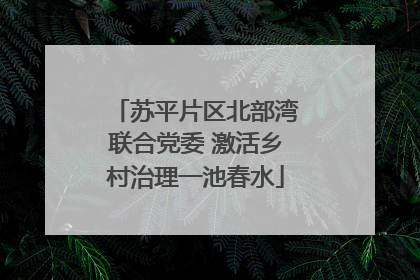 苏平片区北部湾联合党委 激活乡村治理一池春水