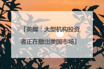 英媒：大型机构投资者正在撤出美国市场