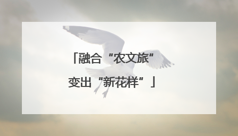 融合“农文旅” 变出“新花样”
