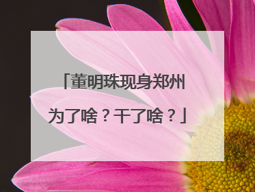 董明珠现身郑州 为了啥？干了啥？