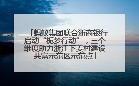 蚂蚁集团联合浙商银行启动“栀梦行动”，三个维度助力浙江下姜村建设共富示范区示范点