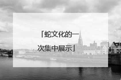 蛇文化的一次集中展示