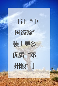 让“中国饭碗”装上更多优质“邓州粮”