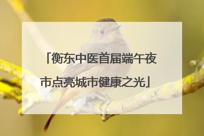 衡东中医首届端午夜市点亮城市健康之光