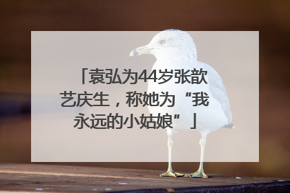 袁弘为44岁张歆艺庆生，称她为“我永远的小姑娘”