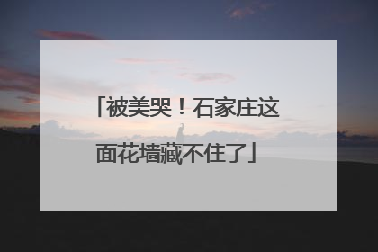 被美哭！石家庄这面花墙藏不住了