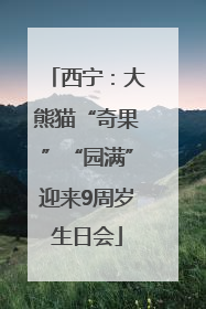 西宁：大熊猫“奇果”“园满”迎来9周岁生日会