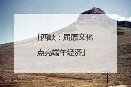 西峡：屈原文化点亮端午经济