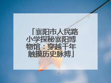 襄阳市人民路小学探秘襄阳博物馆：穿越千年触摸历史脉搏