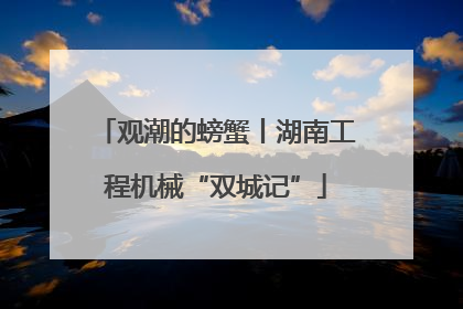 观潮的螃蟹丨湖南工程机械“双城记”