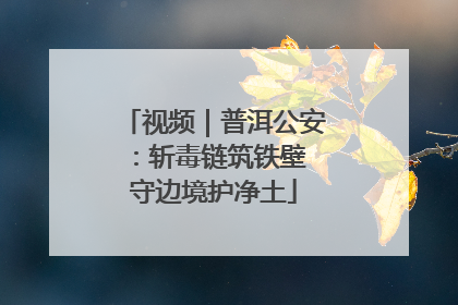 视频｜普洱公安：斩毒链筑铁壁 守边境护净土