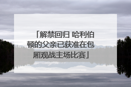 解禁回归 哈利伯顿的父亲已获准在包厢观战主场比赛