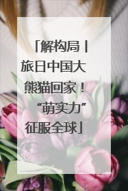 解构局丨旅日中国大熊猫回家！“萌实力”征服全球