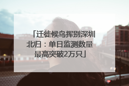 迁徙候鸟挥别深圳北归：单日监测数量最高突破2万只