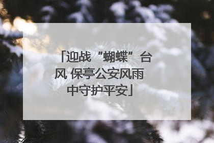 迎战“蝴蝶”台风 保亭公安风雨中守护平安