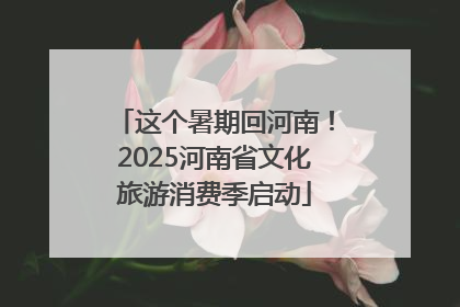 这个暑期回河南！2025河南省文化旅游消费季启动