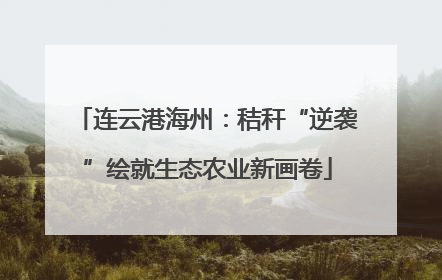 连云港海州：秸秆“逆袭”绘就生态农业新画卷