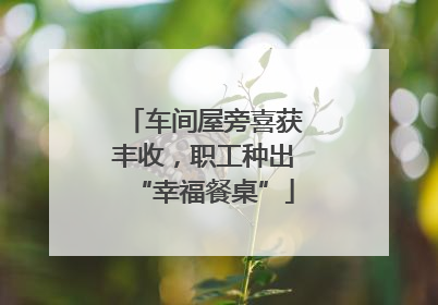 车间屋旁喜获丰收，职工种出“幸福餐桌”