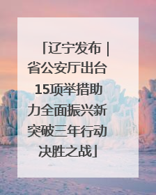 辽宁发布｜省公安厅出台15项举措助力全面振兴新突破三年行动决胜之战
