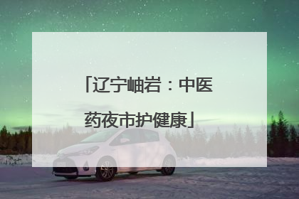辽宁岫岩：中医药夜市护健康