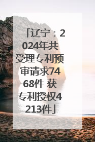 辽宁：2024年共受理专利预审请求7468件 获专利授权4213件