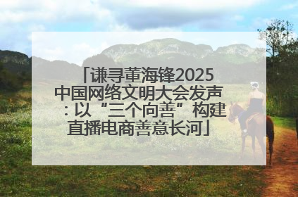 谦寻董海锋2025中国网络文明大会发声：以“三个向善”构建直播电商善意长河