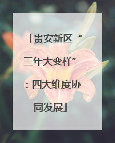 贵安新区“三年大变样”：四大维度协同发展