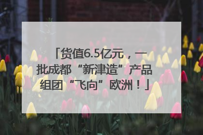 货值6.5亿元，一批成都“新津造”产品组团“飞向”欧洲！