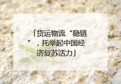 货运物流“稳链”，托举起中国经济复苏活力