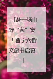 赴一场山野“菌”宴！晋宁六街文旅节启幕