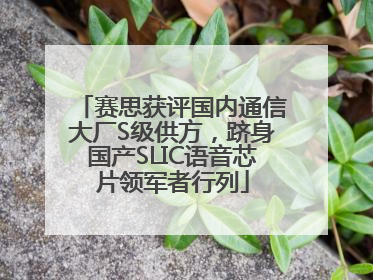 赛思获评国内通信大厂S级供方，跻身国产SLIC语音芯片领军者行列