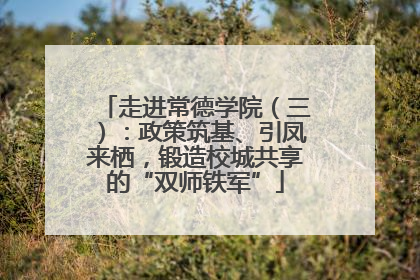 走进常德学院（三）：政策筑基、引凤来栖，锻造校城共享的“双师铁军”