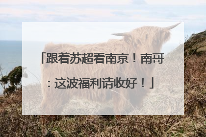 跟着苏超看南京！南哥：这波福利请收好！