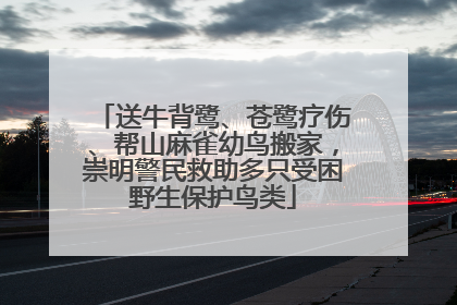 送牛背鹭、苍鹭疗伤、帮山麻雀幼鸟搬家，崇明警民救助多只受困野生保护鸟类