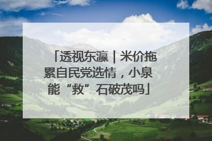 透视东瀛｜米价拖累自民党选情，小泉能“救”石破茂吗