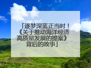 逐梦深蓝正当时！《关于推动海洋经济高质量发展的提案》背后的故事
