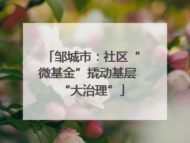 邹城市：社区“微基金”撬动基层“大治理”