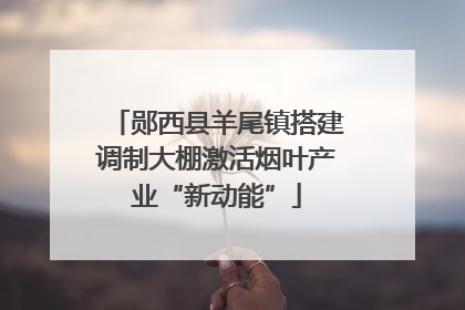 郧西县羊尾镇搭建调制大棚激活烟叶产业“新动能”