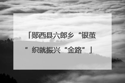 郧西县六郎乡“银茧”织就振兴“金路”