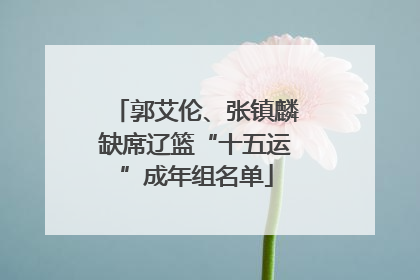 郭艾伦、张镇麟缺席辽篮“十五运”成年组名单