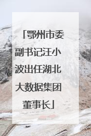 鄂州市委副书记汪小波出任湖北大数据集团董事长