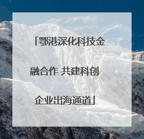 鄂港深化科技金融合作 共建科创企业出海通道