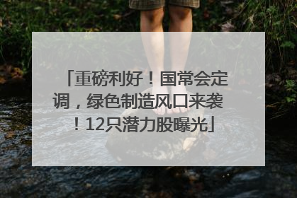 重磅利好！国常会定调，绿色制造风口来袭！12只潜力股曝光