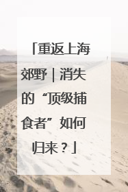 重返上海郊野｜消失的“顶级捕食者”如何归来？