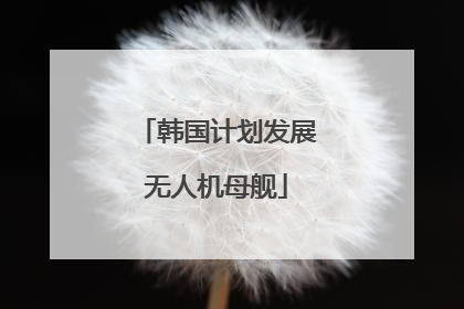 韩国计划发展无人机母舰