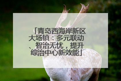 青岛西海岸新区大场镇：多元联动、智治无忧，提升综治中心新效能