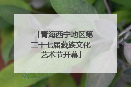 青海西宁地区第三十七届藏族文化艺术节开幕