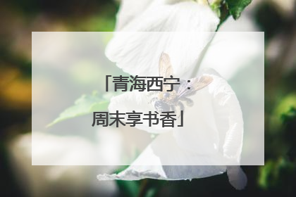 青海西宁：周末享书香